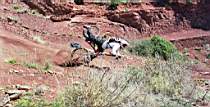 26TrailGames19_big.jpg