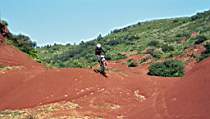26TrailGames24_big.jpg